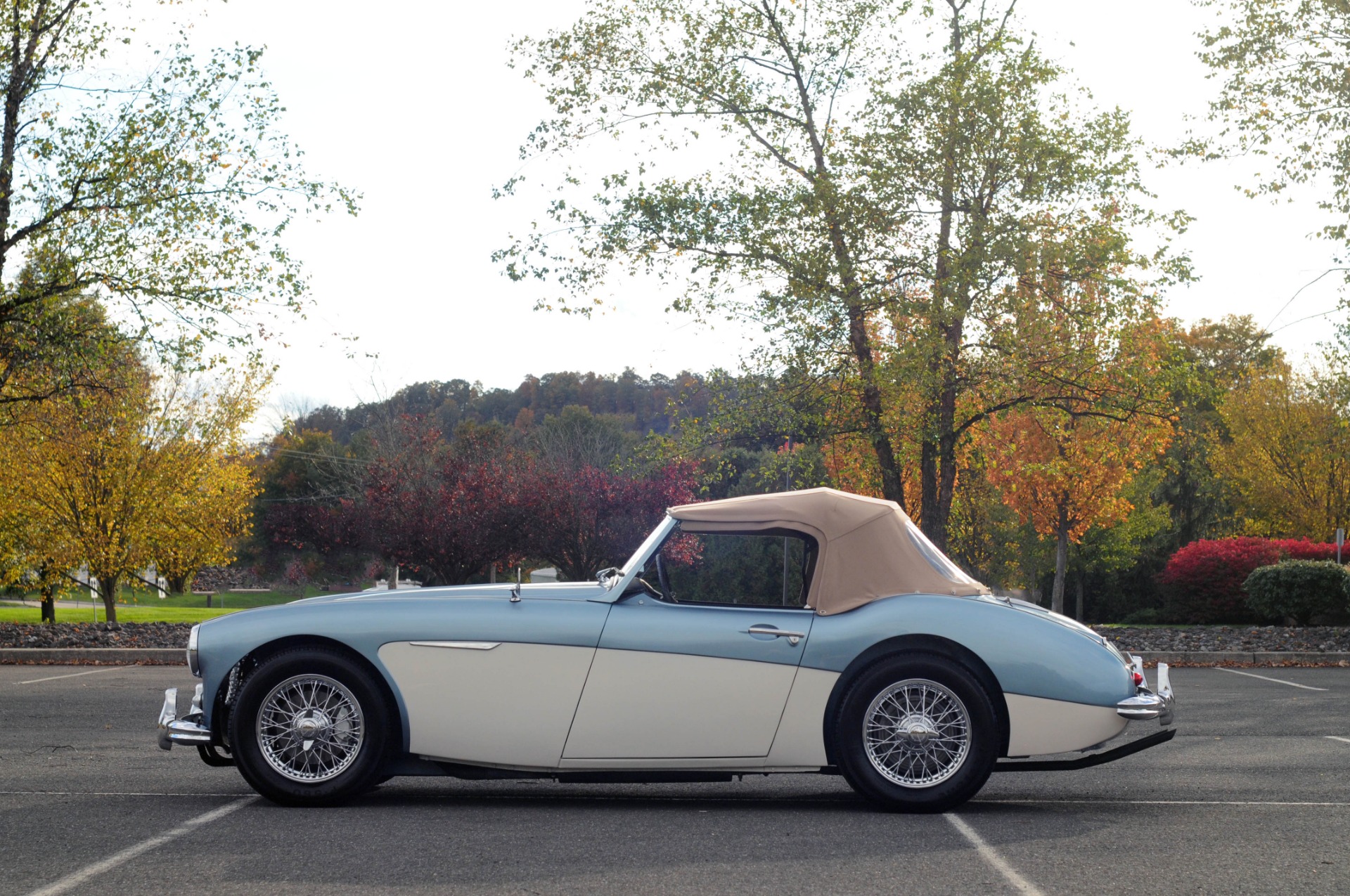 Used 1957 Austin Healey 100 6 BN 4