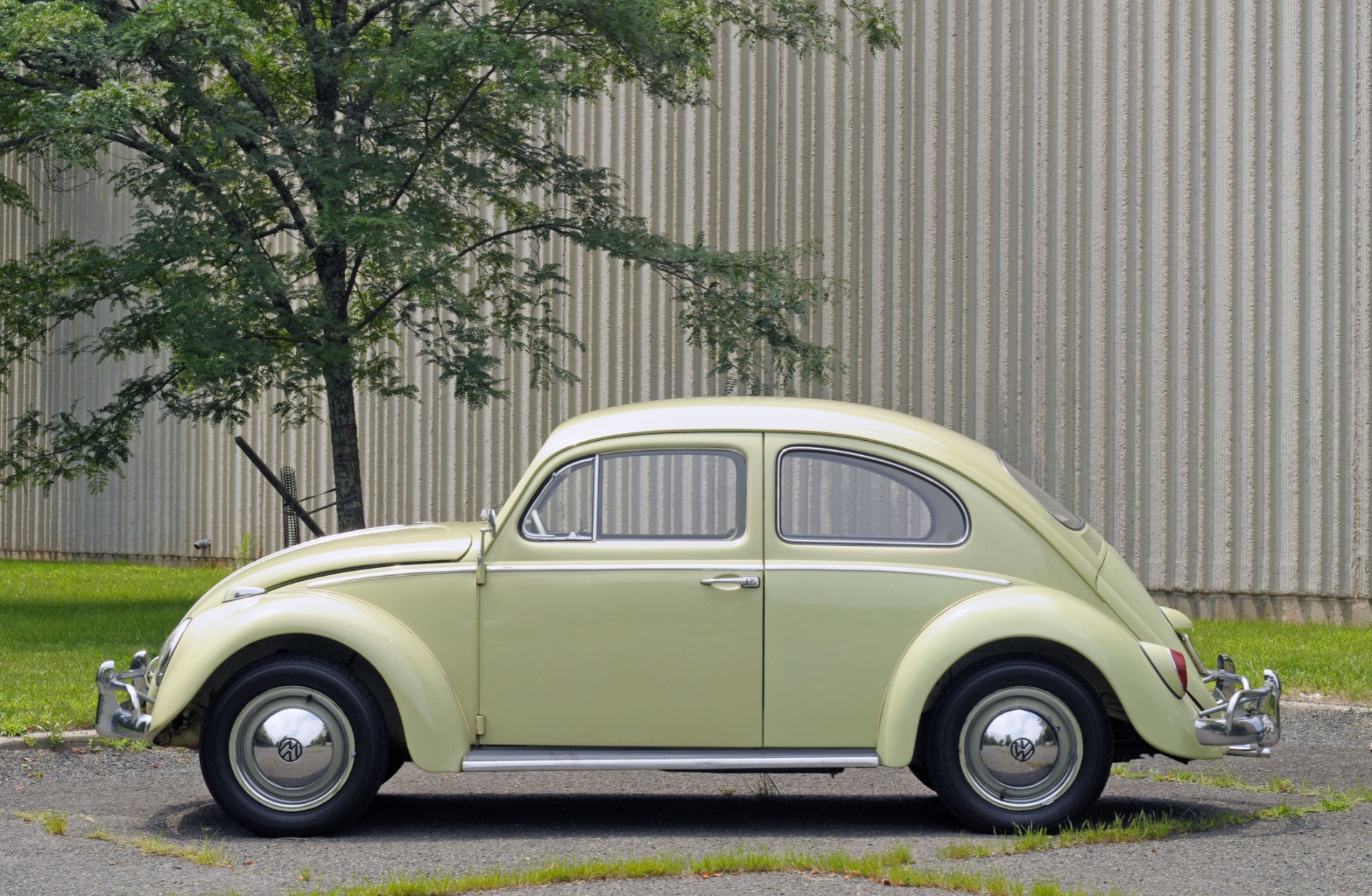 Used 1963 Volkswagen Beetle